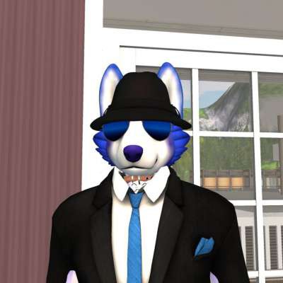 JB Raccoon