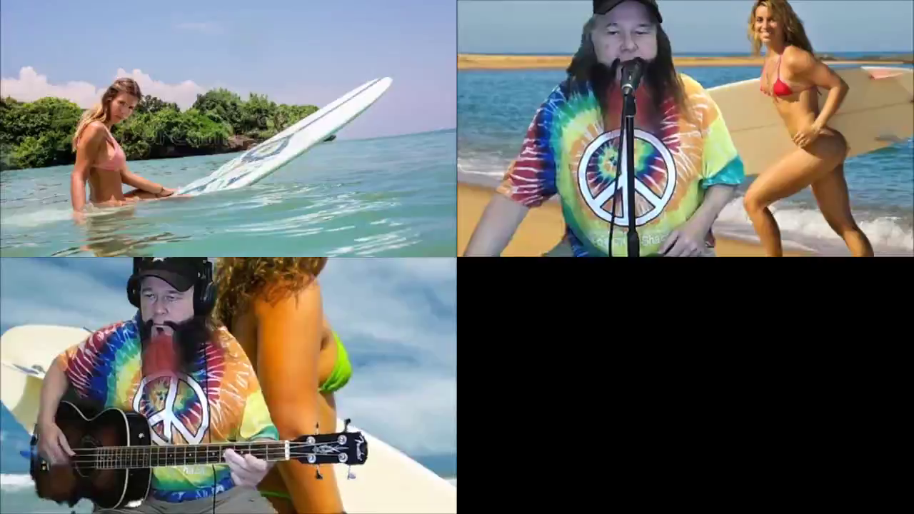 The Beach Boys Surfin' Safari JED acoustic version