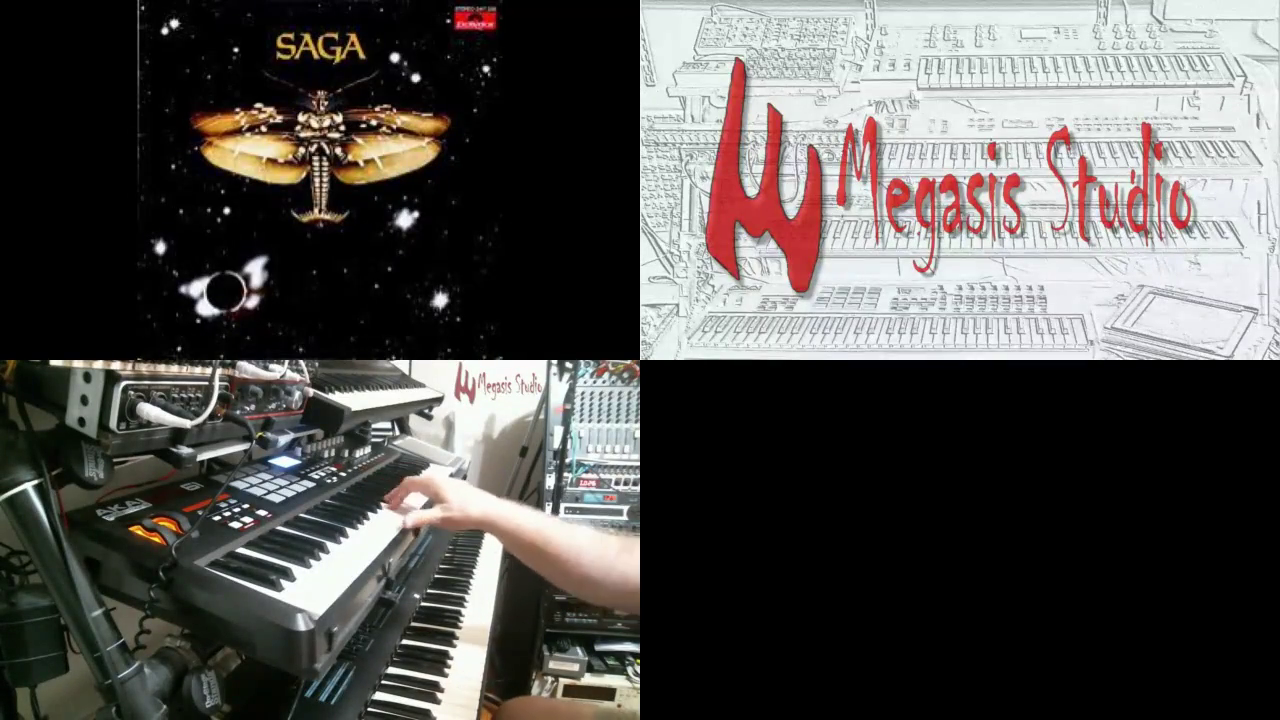 SAGA - The Perfectionist Cover